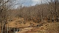DSCN4689