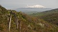 DSCN4694