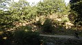 DSCN9621