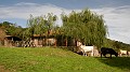 DSCN9628