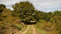 DSCN9638