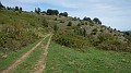 DSCN9639