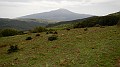 DSCN9641