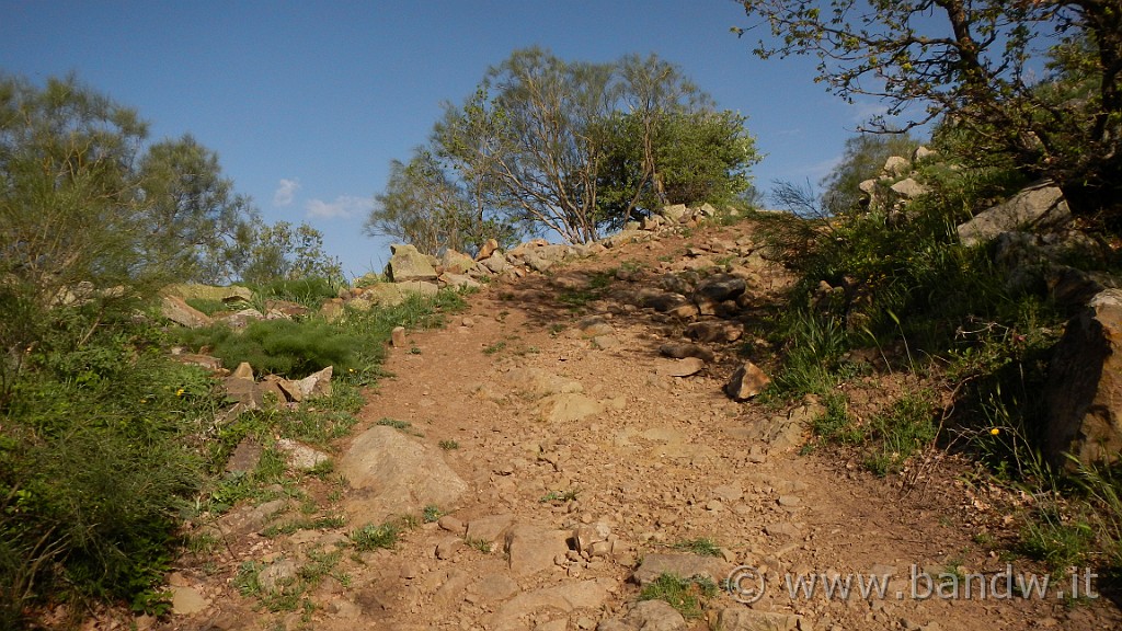 DSCN9123.JPG -                                