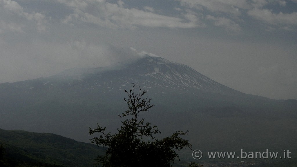 DSCN9144.JPG -                                