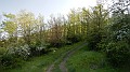 DSCN9051