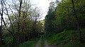 DSCN9054