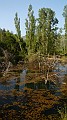 DSCN9057