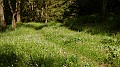 DSCN9062