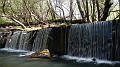 DSCN9066