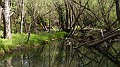 DSCN9070