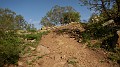 DSCN9123