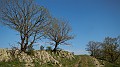 DSCN9131
