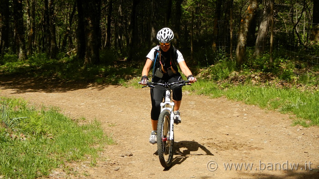 DSCN9085.JPG -                                