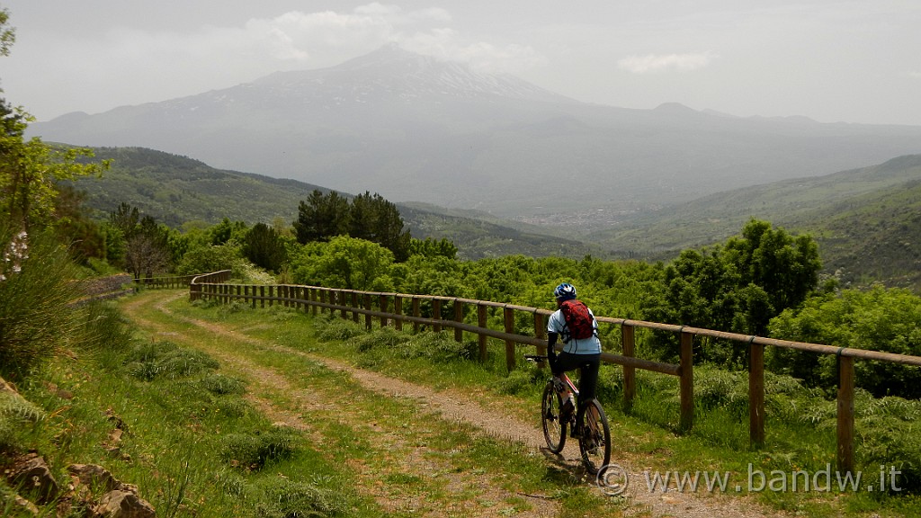 DSCN9118.JPG -                                