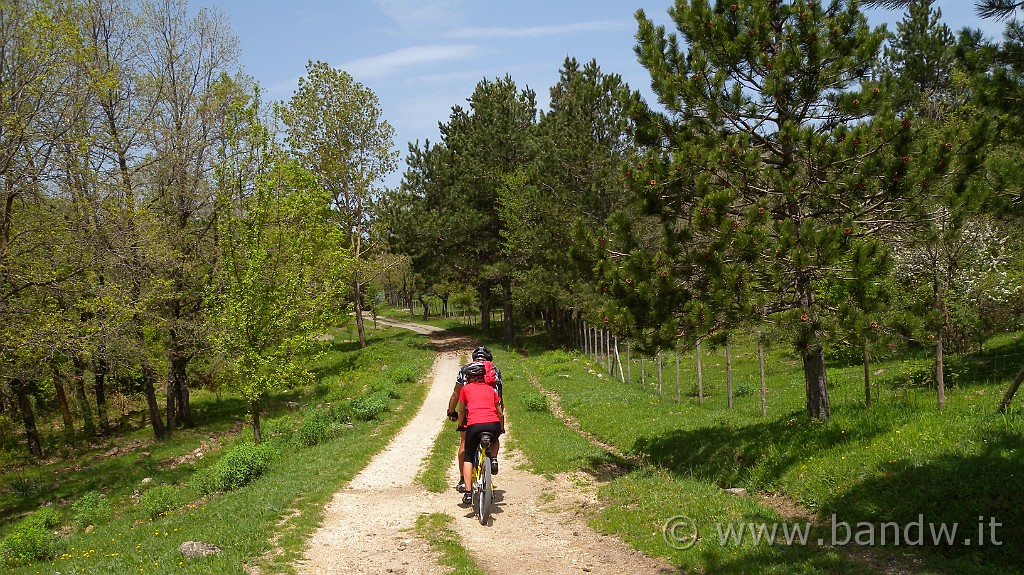 DSCN9640.JPG -                                