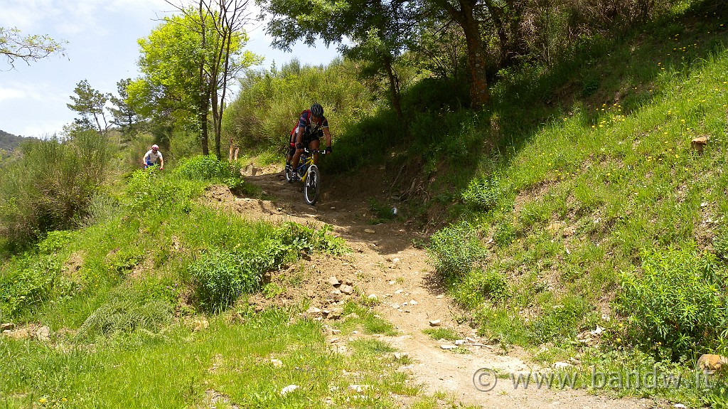 DSCN9666.JPG -                                