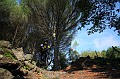 IMG_9317