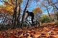 IMG_9380