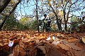 IMG_9391