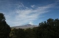 IMG_9420