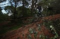 IMG_9459