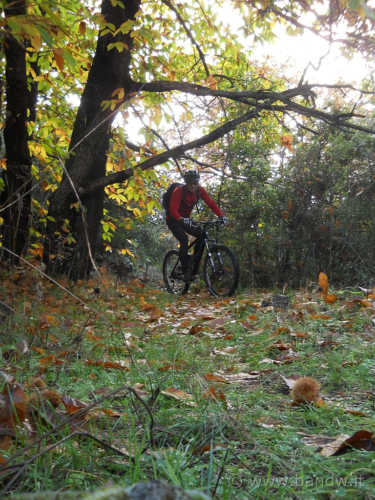 DSCN8328.JPG -           