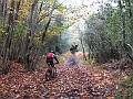 IMG_5587