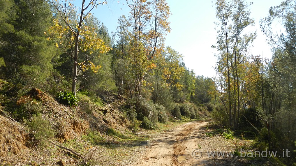 DSCN7750.JPG -                                