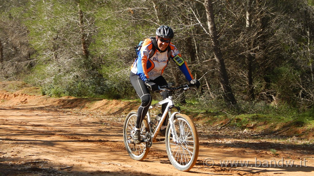 DSCN7770.JPG -                                