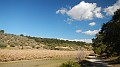 DSCN7741