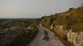 DSCN7388