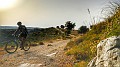 DSCN7391-01