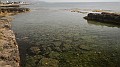 DSCN7409