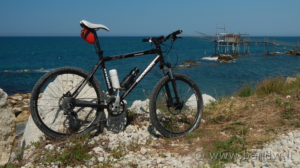 DSCN8925.JPG -                                