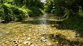 DSCN8977