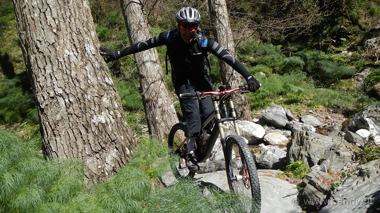 DSCN1709.JPG -                                