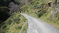 DSCN1684