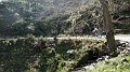 DSCN1685