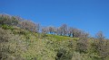 DSCN1687