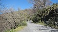 DSCN1693