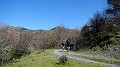 DSCN1697