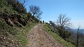 DSCN1731