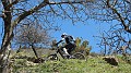 DSCN1733