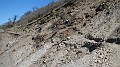 DSCN1747
