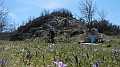 DSCN1757