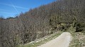 DSCN1763