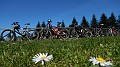 DSCN1786