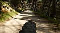 DSCN4713