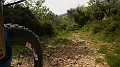 DSCN4726